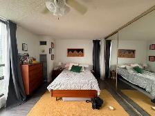 1 Large BR, 1.5 Bath Spacious Apartment-9th Floor - Photo 9