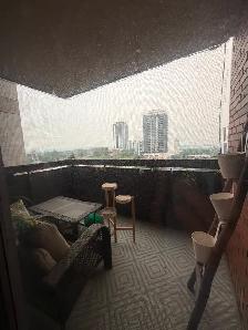 1 Large BR, 1.5 Bath Spacious Apartment-9th Floor - Photo 10