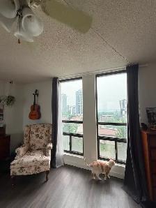 1 Large BR, 1.5 Bath Spacious Apartment-9th Floor - Photo 11