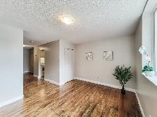 Studio Apartment in Orangeville - Available - Photo 7
