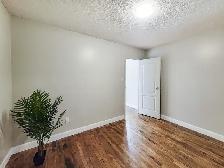 Studio Apartment in Orangeville - Available - Photo 8