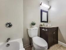 Studio Apartment in Orangeville - Available - Photo 10