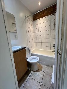 Coup de cœur – 1 ½ tout inclus sur le Plateau Mont-Royal - Privé - Photo 5