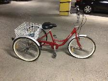 3 wheel bicycle