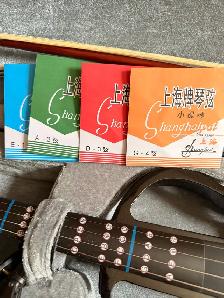 electric violin - Photo 3