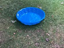Childs pool or pet pool