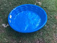 Childs pool or pet pool - Photo 2