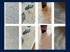 Professional Carpet & Upholstery Cleaning | Halifax & Dartmouth - Photo 2