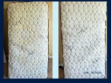 Professional Carpet & Upholstery Cleaning | Halifax & Dartmouth - Photo 5