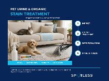 Professional Carpet & Upholstery Cleaning | Halifax & Dartmouth - Photo 8