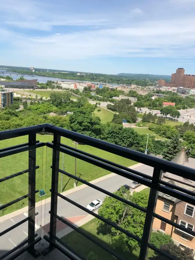 Downtown Condo - High Floor 1 Br with Stunning View!
