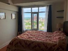 Downtown Condo - High Floor 1 Br with Stunning View! - Photo 3