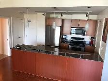 Downtown Condo - High Floor 1 Br with Stunning View! - Photo 5