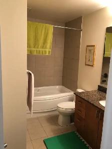 Downtown Condo - High Floor 1 Br with Stunning View! - Photo 6