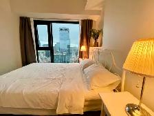 july 21-31, luxury, 1 bR,landmark, heart of downtown montreal$9 - Photo 7