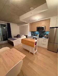 Modern Luxury Studio for Rent at The Newman