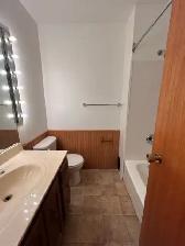 Updated 1-Bedroom Gem - Photo 4