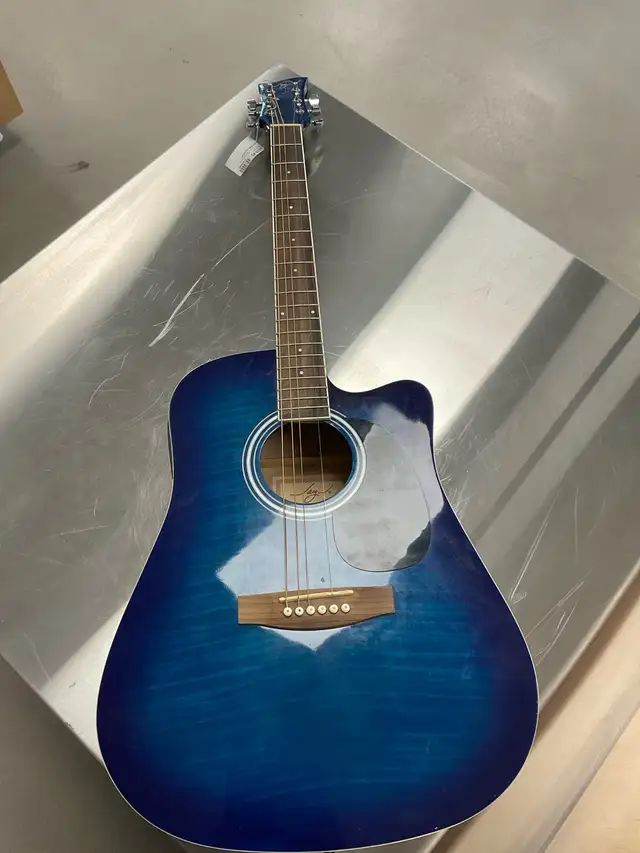 jay turser E/A guitar