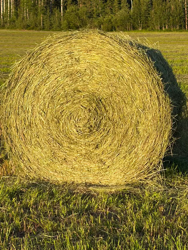 Locally  grown hay