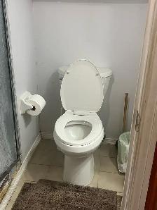 1 bedroom basement available for rent - Photo 6