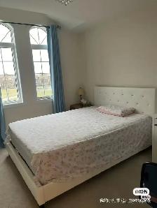 room rent