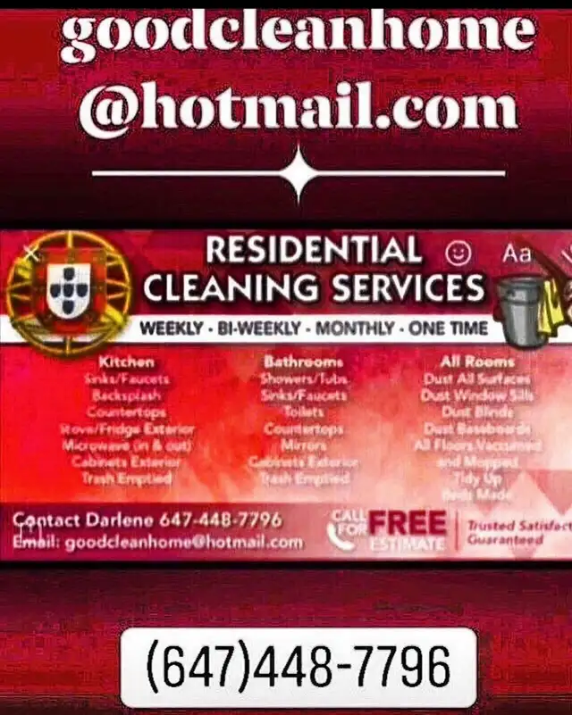 cleaning lady