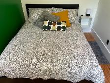 Newly Renovated 1-Bedroom with River Views | Cargill | Sept 1 - Photo 5