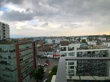 Stunning High-End 2 Bedroom 2 bath condo in Olympic Village rent - Photo 7