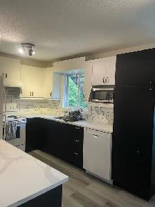 FOR RENT  1700$ per month - Photo 8