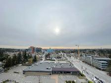 One Month Free! 1 Bedroom Condo Unit in the heart of Surrey - Photo 9