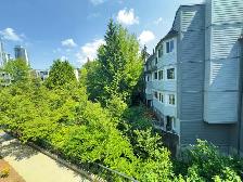 915 sq ft Condo near Lougheed Skytrain $475,000 - Photo 9