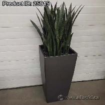 Lechuza Cubico Premium 50 Large Planter with Silk Plant