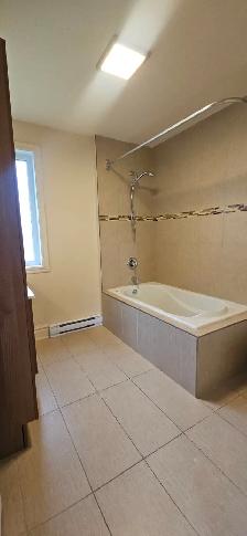 MAISON – BORD DE L’EAU - DELSON - disponible maintenant - Photo 10
