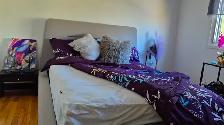 Base et tete de Lit queen size / qeen size bedframe (no matress)
