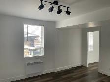 Superbe très grand 5 1/2 rue Dieppe, Libre - Photo 4