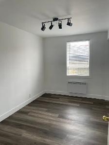 Superbe très grand 5 1/2 rue Dieppe, Libre - Photo 6