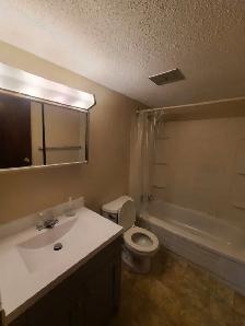 Pet Friendly 2 Bedroom, 1 Bathroom Apartment - Photo 9