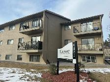1 Bedroom Cat Friendly Suite in Clearview