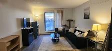 1 Bedroom Cat Friendly Suite in Clearview - Photo 2