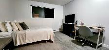 1 Bedroom Cat Friendly Suite in Clearview - Photo 3