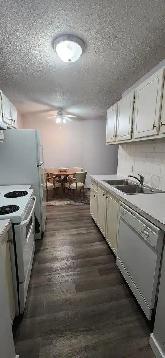 1 Bedroom Cat Friendly Suite in Clearview - Photo 4
