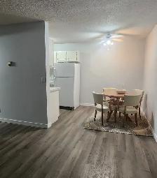 1 Bedroom Cat Friendly Suite in Clearview - Photo 5