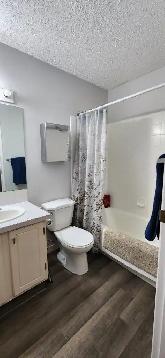 1 Bedroom Cat Friendly Suite in Clearview - Photo 6