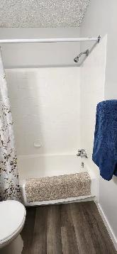 1 Bedroom Cat Friendly Suite in Clearview - Photo 7