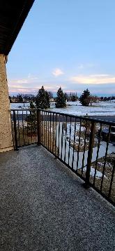 1 Bedroom Cat Friendly Suite in Clearview - Photo 8