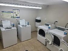 1 Bedroom Cat Friendly Suite in Clearview - Photo 9