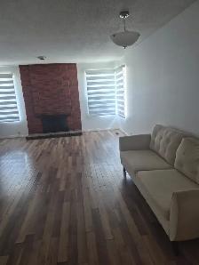 Room for rent walk to c train 10 mins to DT , Main floor - Photo 2