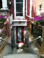 College/Dundas and University Area Basement Apartment
