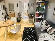 College/Dundas and University Area Basement Apartment - Photo 3