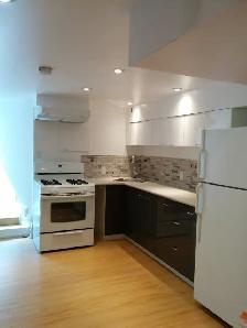 College/Dundas and University Area Basement Apartment - Photo 4